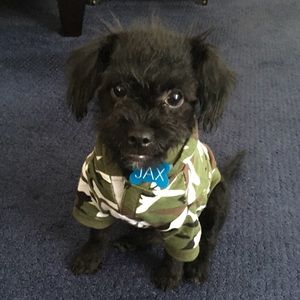 Meet your Posher, Douglas